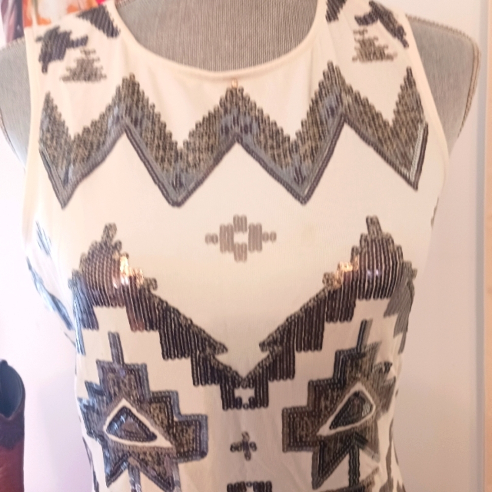 Express Siquin Dress